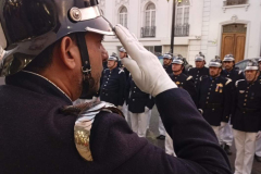 bicentenariomamatta-10 bicentenariomamatta-10